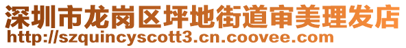 深圳市龍崗區(qū)坪地街道審美理發(fā)店