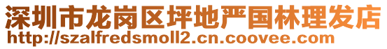 深圳市龍崗區(qū)坪地嚴(yán)國林理發(fā)店