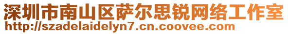 深圳市南山區(qū)薩爾思銳網(wǎng)絡(luò)工作室