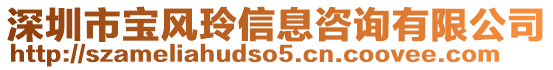 深圳市寶風(fēng)玲信息咨詢有限公司