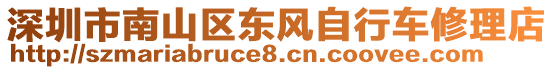 深圳市南山區(qū)東風(fēng)自行車修理店