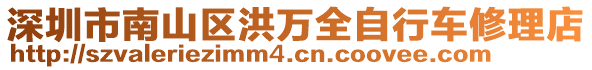 深圳市南山區(qū)洪萬全自行車修理店