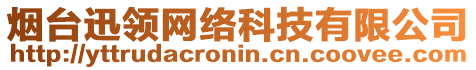 煙臺迅領(lǐng)網(wǎng)絡(luò)科技有限公司