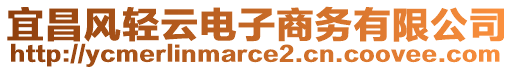 宜昌风轻云电子商务有限公司