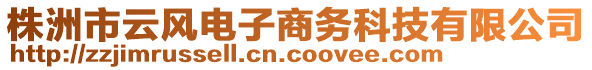 株洲市云風(fēng)電子商務(wù)科技有限公司