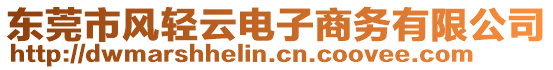 東莞市風(fēng)輕云電子商務(wù)有限公司