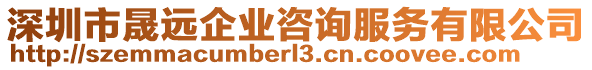 深圳市晟遠(yuǎn)企業(yè)咨詢服務(wù)有限公司