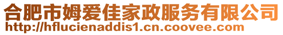 合肥市姆愛佳家政服務有限公司