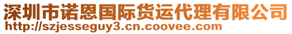 深圳市諾恩國際貨運(yùn)代理有限公司