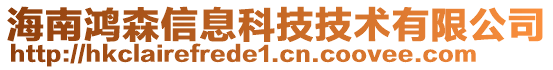 海南鴻森信息科技技術(shù)有限公司