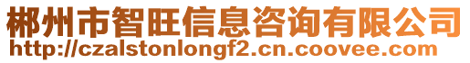 郴州市智旺信息咨詢有限公司