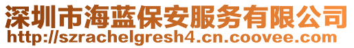 深圳市海藍(lán)保安服務(wù)有限公司