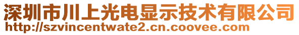 深圳市川上光電顯示技術有限公司