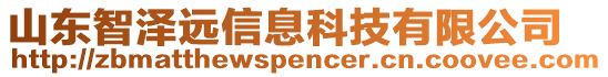 山東智澤遠信息科技有限公司