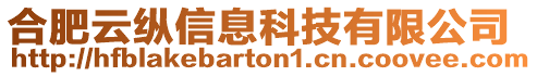 合肥云縱信息科技有限公司