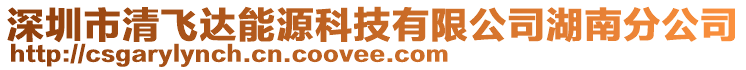 深圳市清飞达能源科技有限公司湖南分公司