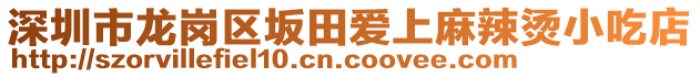 深圳市龍崗區(qū)坂田愛上麻辣燙小吃店