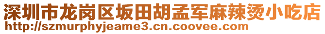 深圳市龍崗區(qū)坂田胡孟軍麻辣燙小吃店