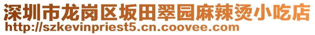 深圳市龍崗區(qū)坂田翠園麻辣燙小吃店