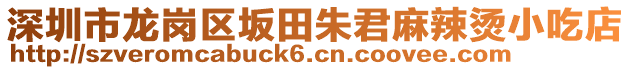 深圳市龍崗區(qū)坂田朱君麻辣燙小吃店