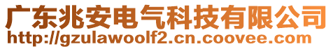 廣東兆安電氣科技有限公司