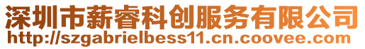 深圳市薪?？苿?chuàng)服務(wù)有限公司