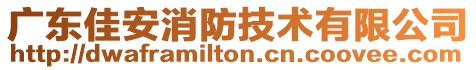 廣東佳安消防技術(shù)有限公司