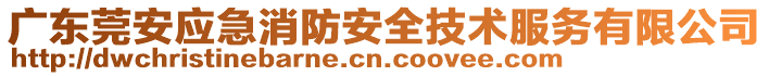 广东莞安应急消防安全技术服务有限公司