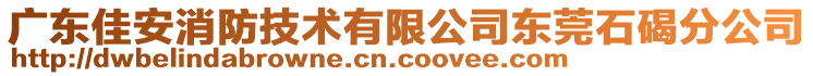 廣東佳安消防技術(shù)有限公司東莞石碣分公司