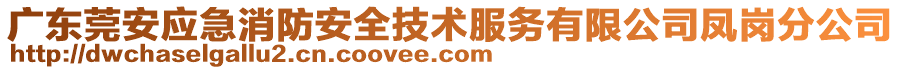 廣東莞安應(yīng)急消防安全技術(shù)服務(wù)有限公司鳳崗分公司