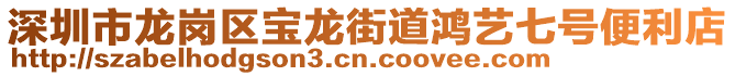 深圳市龙岗区宝龙街道鸿艺七号便利店