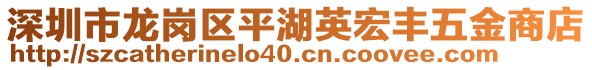 深圳市龍崗區(qū)平湖英宏豐五金商店