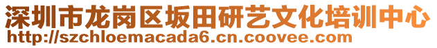 深圳市龍崗區(qū)坂田研藝文化培訓(xùn)中心