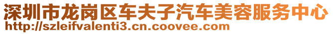 深圳市龍崗區(qū)車夫子汽車美容服務(wù)中心