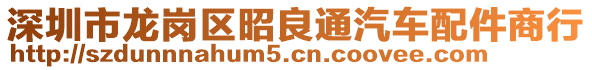 深圳市龍崗區(qū)昭良通汽車配件商行