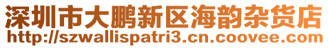 深圳市大鵬新區(qū)海韻雜貨店