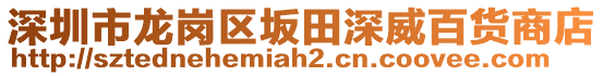 深圳市龍崗區(qū)坂田深威百貨商店