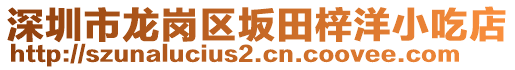 深圳市龍崗區(qū)坂田梓洋小吃店