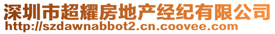 深圳市超耀房地產(chǎn)經(jīng)紀(jì)有限公司