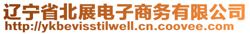 遼寧省北展電子商務(wù)有限公司