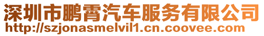 深圳市鵬霄汽車服務(wù)有限公司