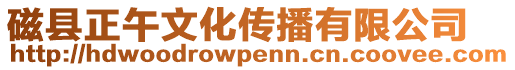 磁縣正午文化傳播有限公司