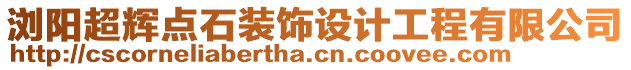 瀏陽超輝點石裝飾設(shè)計工程有限公司