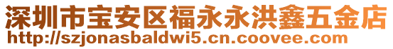 深圳市寶安區(qū)福永永洪鑫五金店