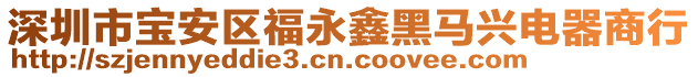 深圳市寶安區(qū)福永鑫黑馬興電器商行