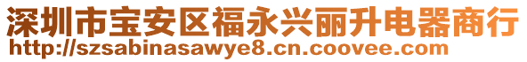 深圳市寶安區(qū)福永興麗升電器商行