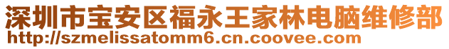 深圳市寶安區(qū)福永王家林電腦維修部