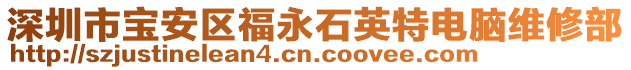 深圳市寶安區(qū)福永石英特電腦維修部