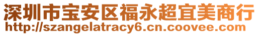 深圳市寶安區福永超宜美商行