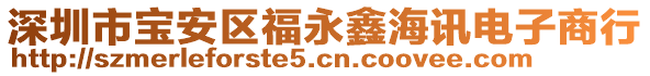 深圳市寶安區(qū)福永鑫海訊電子商行